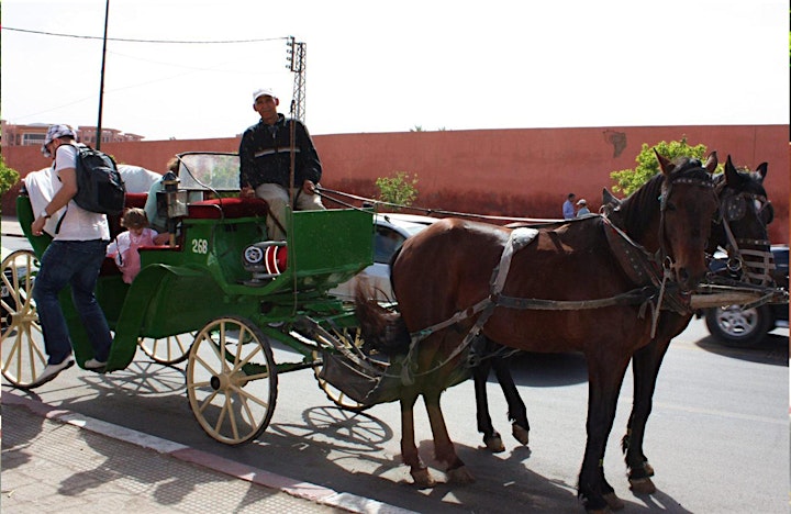 
		Virtual Live Marrakech Horse Carriage Tour and Majorelle Garden Excursions image

