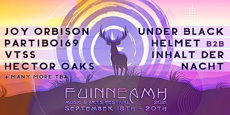 Fuinneamh Festival weekend camping ticket primary image