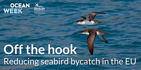 Primaire afbeelding van Off the hook - Reducing seabird bycatch in the EU