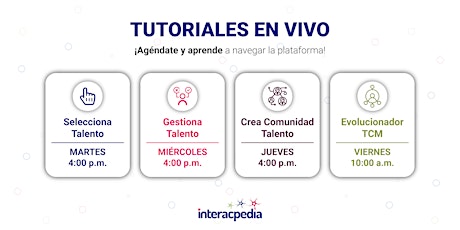 Imagen principal de Tutoriales en Vivo