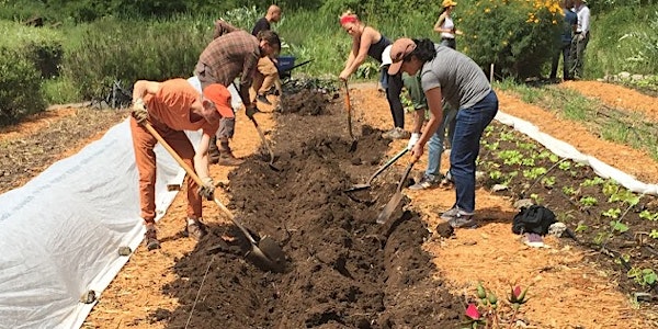 Alemany Farm Volunteer Day