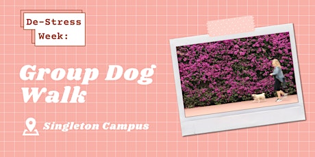 Group Dog Walk - Singleton Campus primary image