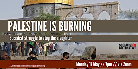Palestine is burning: socialist struggle to stop the slaughter primary image