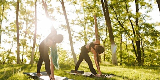 Outdoor Yoga & Reiki Meditation