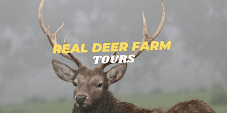 SPIRIT OF THE STAG - Deer Farm Tour primary image