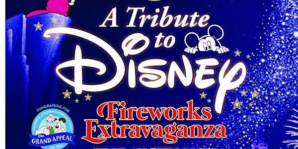 Almondsbury Creative Disney Fireworks Extravaganza