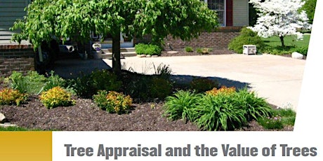 Foundations of Tree Appraisal
