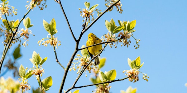 Bird Watching at the Ridgewood Reservoir