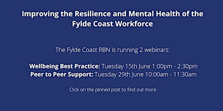 Fylde Coast RBN presents Wellbeing Best Practice primary image