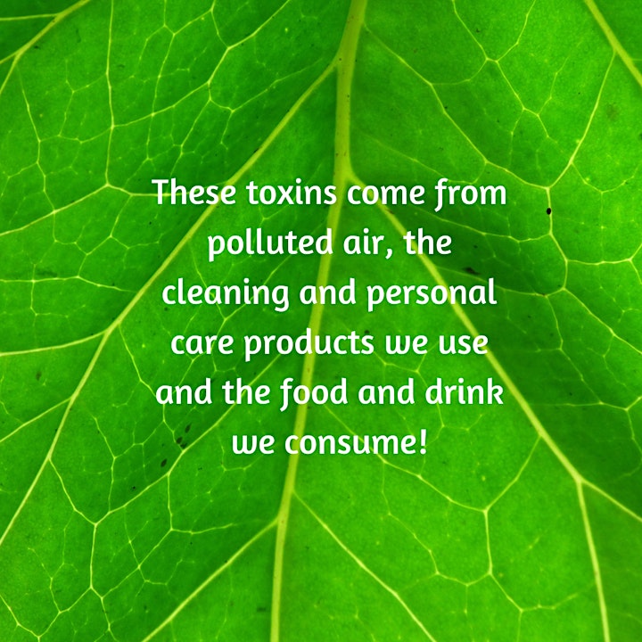 Green Cleaning Class for Low Tox living image