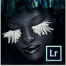 Lightroom Introduction primary image