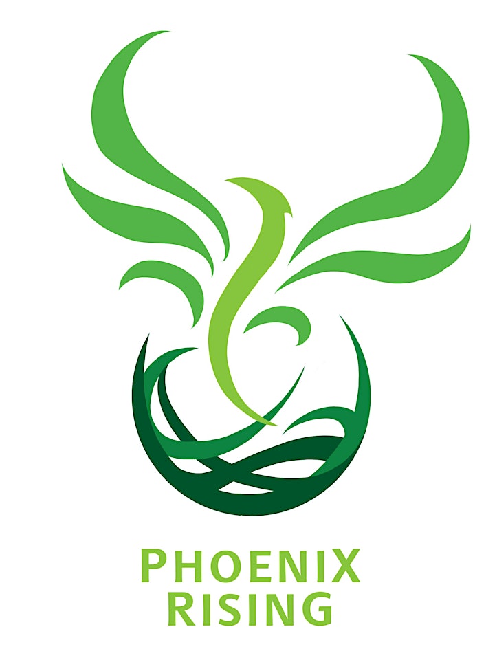 Phoenix Rising  -  Gentle Yoga for Peace of Mind image