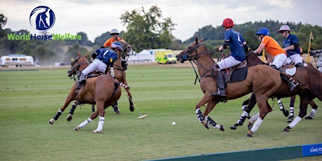 Charity Polo Day, the Gloucestershire Festival of Polo tickets
