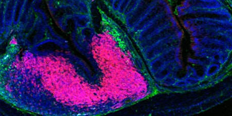 Science Spotlight: are our cells still talking? primary image