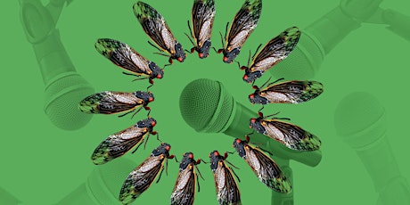 Cicada Chorus primary image