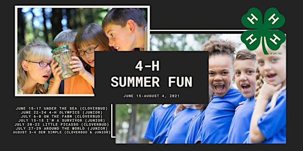Tyrrell County 4-H Summer Fun