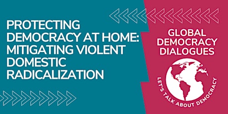 Protecting democracy at home: Mitigating violent domestic radicalization primary image