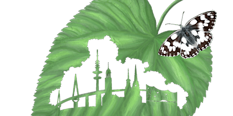 Hauptbild für WD762 Urbanes Waldbaden und die Kraft der Bäume