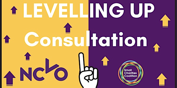 The Levelling Up Consultation for Small Charities