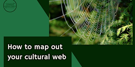 How to map out your cultural web primary image