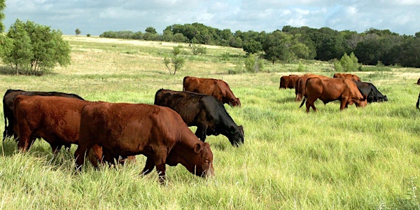 Getting Started Online Course - Holistic Grazing Planning, FALL 2021
