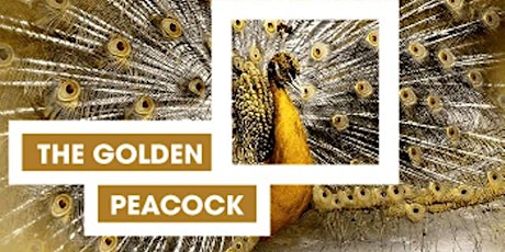 Golden Peacock Concert primary image