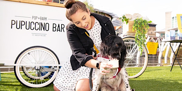 Open Air Dog Cafe & Pupuccino Bar at Westquay Southampton
