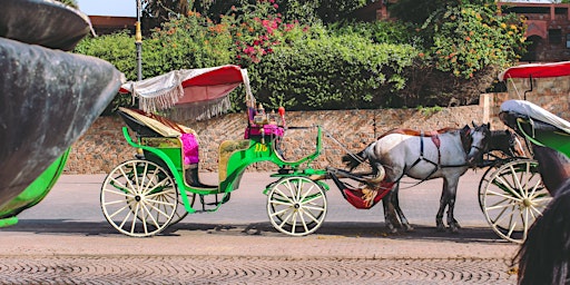 Marrakech Horse Carriage Ride - Virtual Live Tour
