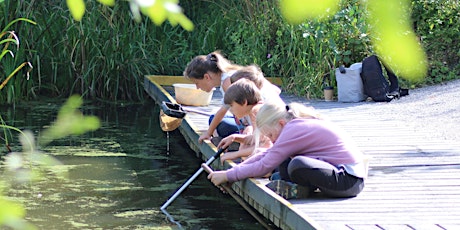 Pond Dipping - May half term primary image