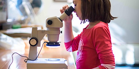 Children's Workshop: Natural art under the microscope primary image