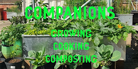 Companions - Growing Cooking and Composting workshops at R-Urban Poplar primary image