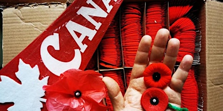 1000 Canadian Poppies - Commonwealth War Grave, Ca