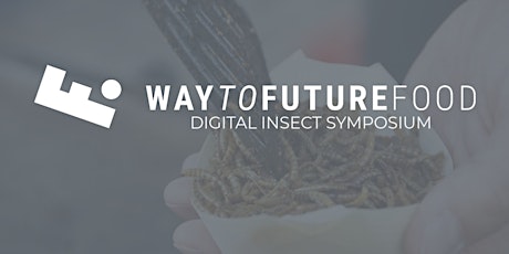 Digital Insect Symposium I: Jutta Saumweber