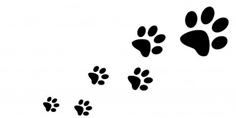 Make a Mammal Footprint Tunnel primary image
