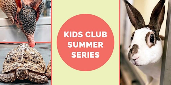 Academy Kids Club Summer Series (Members only!)
