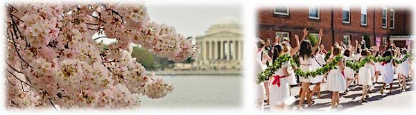 2015 Cherry Blossoms to Laurels Sendoff Tea