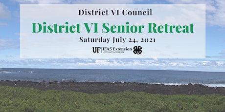 4-H District VI Retreat (July 24, 2021) primary image