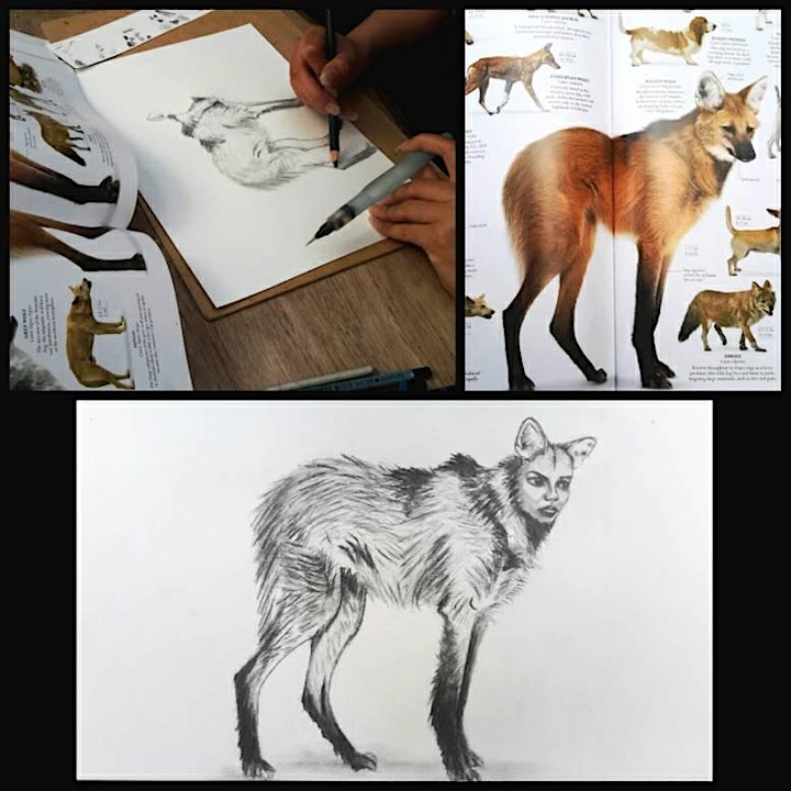
		The London Four Pounds Drawing Class - The London £4 Drawing Class image
