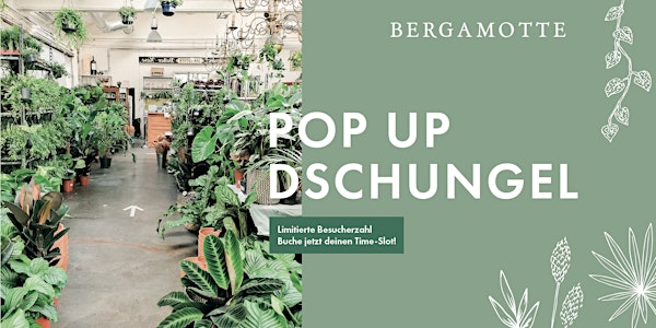 Bergamotte Pop Up Dschungel // St. Gallen