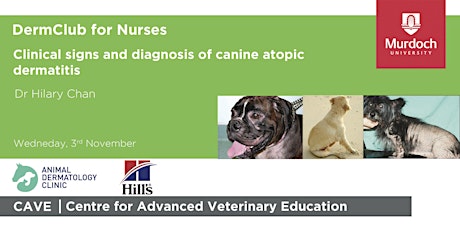 DermClub for Nurses-Clinical signs & diagnosis of canine atopic dermatitis primary image