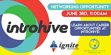 Company Spotlight - Network with employers - INTROHIVE