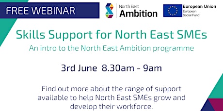 An Introduction to North East Ambition - Skills Support for North East SMEs primary image