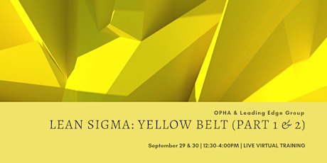 Lean Sigma Yellow Belt Virtual Training