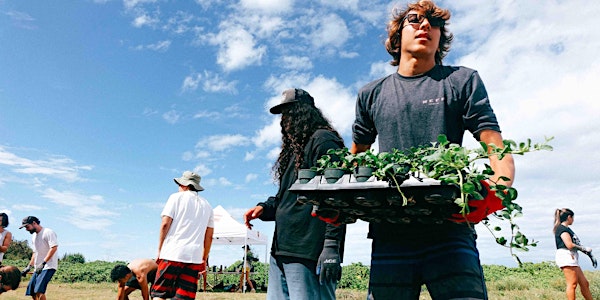 Kalaeokaunaʻoa (Kahuku Point) Volunteer Workday