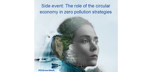 The role of the circular economy in zero pollution strategies