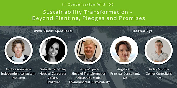 Sustainability Transformation - Beyond planting, pledges and promises