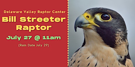 Delaware Valley Raptor Center: Bill Streeter Raptor primary image