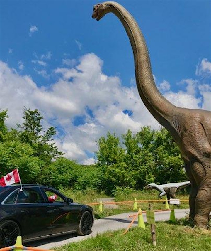 Dinosaur Drive-Thru: August 19th - COVID 19 Safe image