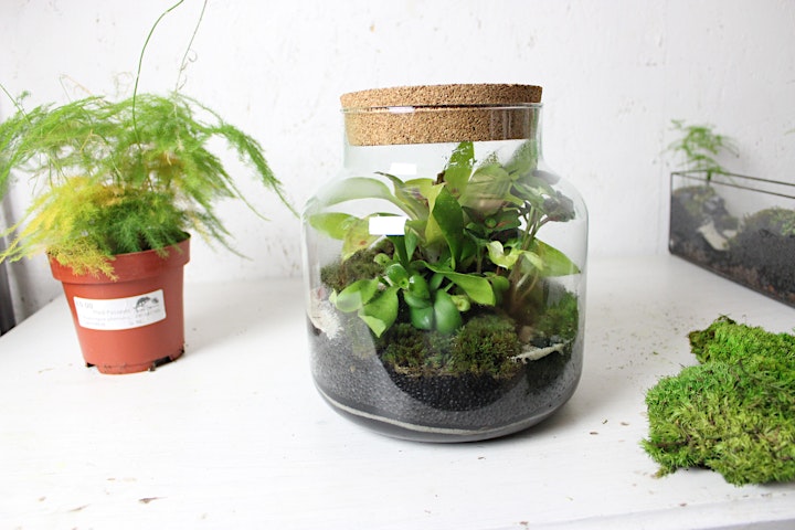 Terrarium Workshop with Ome image