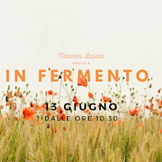 IN FERMENTO primary image